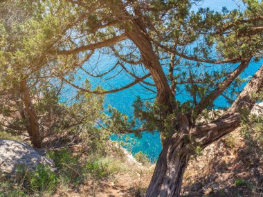 Kırım 'daki kayaların ve denizin manzarası. Kar maskesi mevsiminde dağ ve deniz manzarası.