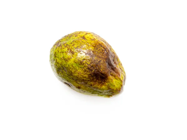 Один Гнилий Жовтий Авокадо Білому Тлі — стокове фото
