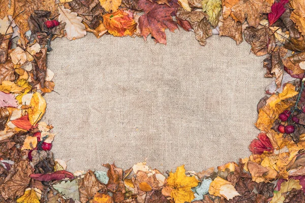 Marco Con Hojas Secas Otoño Sobre Fondo Arpillera Beige Concepto —  Fotos de Stock