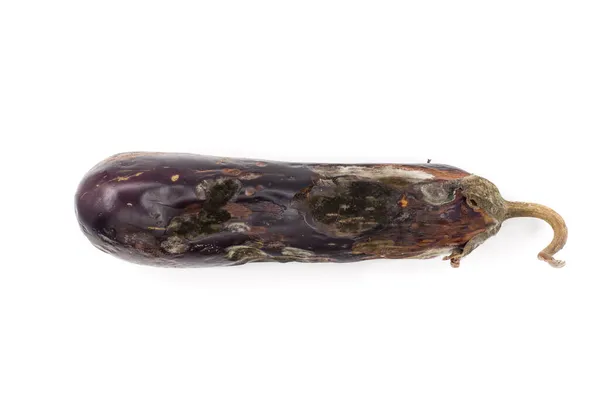 茄子一种腐烂的紫色茄子 干的茎被白色的背景隔开 — 图库照片