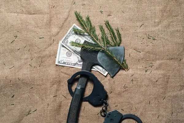 Çuval bezinin arka planında, Noel ağacının kesilmiş dallarının yanında polis kelepçeli siyah bir baltanın altında bir dolar. Yasadışı ağaç kesme için para cezası konsepti.