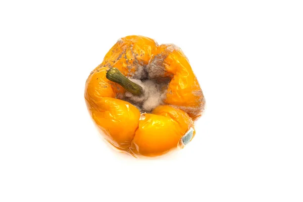 一只腐烂的黄胡椒被白色的背景隔离了不健康的垃圾食品 中毒的概念 — 图库照片