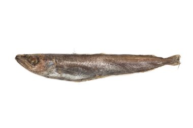 Beyaz bir arka planda izole edilmiş kuru, donmuş bir okyanus pollock.