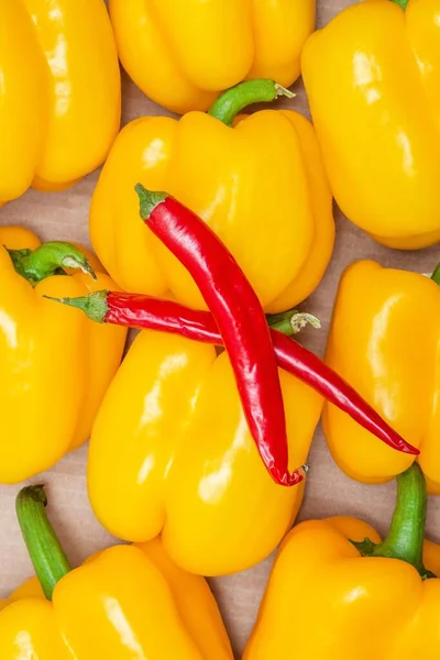 Two Red Hot Chili Pepper Lying Sweet Yellow Capsicum Bell — Stockfoto