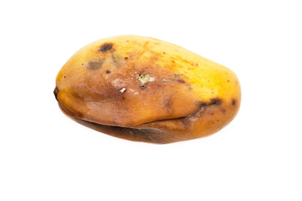 Jedno Shnilé Žluté Mango Izolované Bílém Pozadí Zblízka Zkažené Plesnivé — Stock fotografie