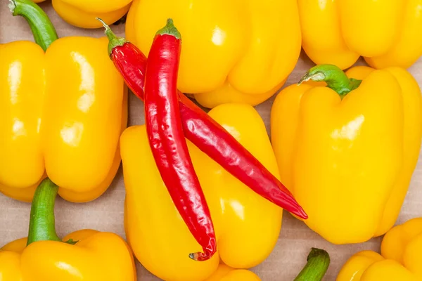 Két Piros Csípős Chili Paprika Fekszik Édes Sárga Paprika Harang — Stock Fotó