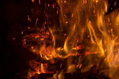 Burning wood in a campfire close-up. Selective focus. Charcoal in a bright red flame. Flashes and sparks in the fire of a forest fire. The concept of warmth and comfort.