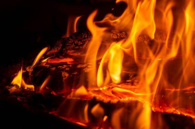 Burning wood in a campfire close-up. Selective focus. Charcoal in a bright red flame. Flashes and sparks in the fire of a forest fire. The concept of warmth and comfort.