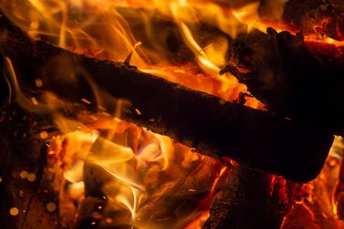 Burning wood in a campfire close-up. Selective focus. Charcoal in a bright red flame. Flashes and sparks in the fire of a forest fire. The concept of warmth and comfort.