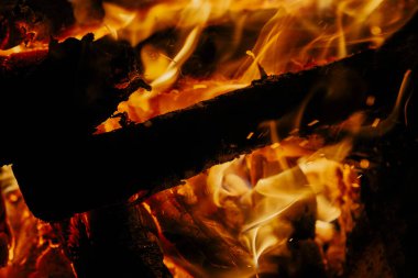 Burning wood in a campfire close-up. Selective focus. Charcoal in a bright red flame. Flashes and sparks in the fire of a forest fire. The concept of warmth and comfort.