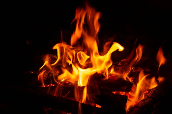 Burning Wood Campfire Close Selective Focus Charcoal Bright Red Flame — Fotografia de Stock