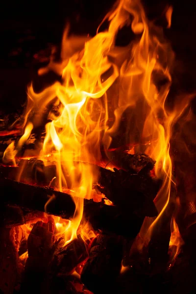 Burning Wood Campfire Close Selective Focus Charcoal Bright Red Flame — 스톡 사진