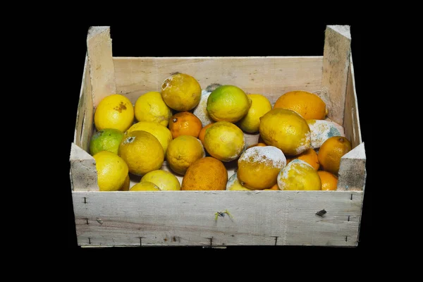 Muchos Limones Podridos Yacen Una Caja Madera Almacén Tienda Caja —  Fotos de Stock