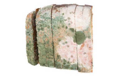 Beyaz arka planda izole edilmiş küflü çavdar ekmeği. Modası geçmiş yemek kavramı..