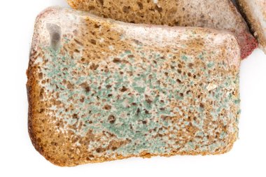 Beyaz arka planda izole edilmiş küflü çavdar ekmeği. Modası geçmiş yemek kavramı..