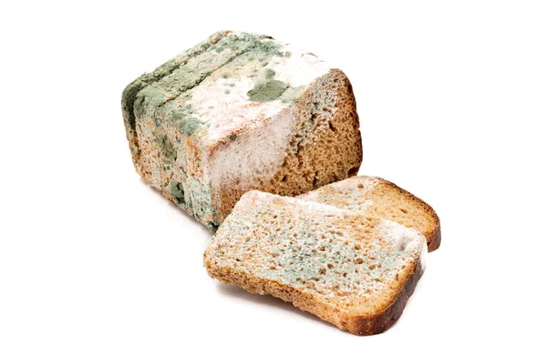 Spleśniały Chleb Żytni Izolowany Białym Tle Pojęcie Żywności Przestarzałej — Zdjęcie stockowe