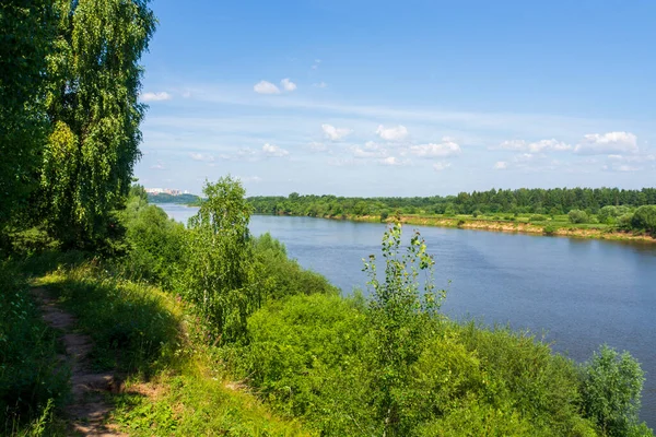 Rus doğasının güzel yaz manzarası. Nehrin yüksek kıyısından yeşil ormana bak..