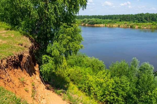 Rus doğasının güzel yaz manzarası. Nehrin yüksek kıyısından yeşil ormana bak..