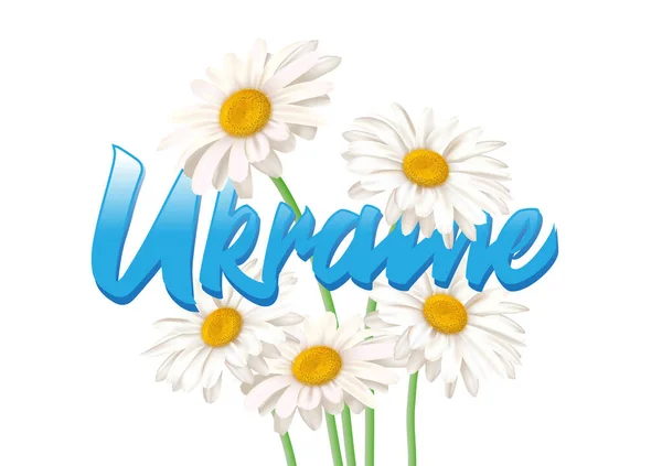 Cartel Ucrania Para Detener Invasión Militar Rusa — Vector de stock