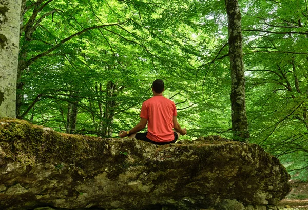 Genç bir adam ormanın ortasında, bir taşın üzerinde yoga yapıyor. Nilüfer pozu veriyor. Doğayla bağlantı kuruyor..