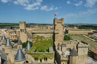 Olite Kraliyet Sarayı, Navarre, İspanya