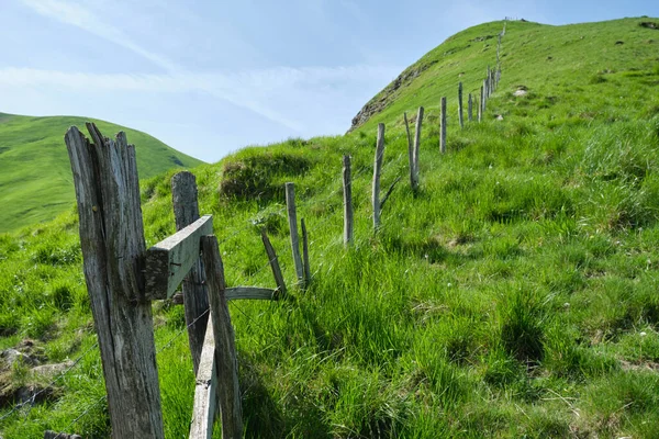 green hills with wooden fence