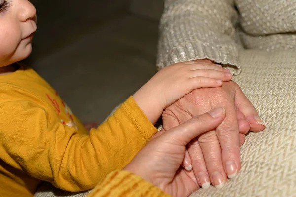 Girl holds an older person's hand, along with another mature woman's hand. Concept of help, protection and care for the elderly.