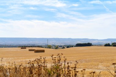 Arka planda sanayi bölgesinde saman kareleri ve önünde kuru devedikenleri olan tarlaların manzarası. Villanueva de la Torre 'da Guadalajara İspanya' da bir kasaba