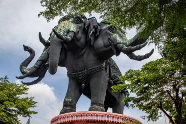 Bangkok Tayland Asya 'daki üç başlı fil.