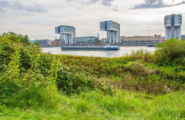 Der Rhein Die Gebäude Und Das Stadtbild Von Köln Nrw — Stockfoto