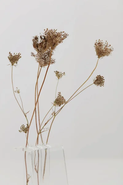 Vaas Met Droge Bloemen Witte Tafel Minimalistische Stijl Interieur Decoratie — Stockfoto