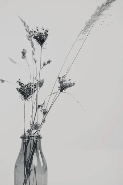 Vaas Met Droge Bloemen Tafel Minimalistische Stijl Zwart Wit Fotografie — Stockfoto