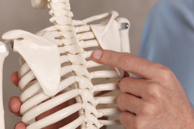 Boya konsepti. Doktor Kayropraktik uzmanı sırt ağrısının sebebini hastaya açıklıyor.