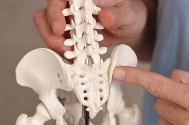 Düşük anatomi. Pelvis, kalça eklemi, kuyruk kemiği. Doktor Kayropraktik uzmanı sırt ağrısının sebebini hastaya açıklıyor.