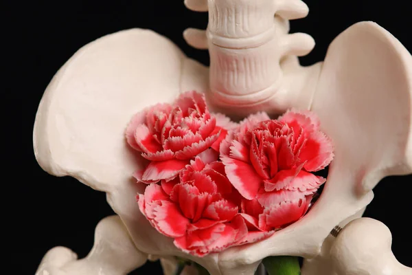 花で飾られた骨盤の骨を開花させます 解剖学の芸術 婦人科 女性の健康コンセプト — ストック写真