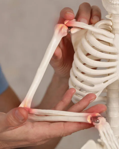 関節炎関節痛の概念 医者と骨格モデルが接近 — ストック写真