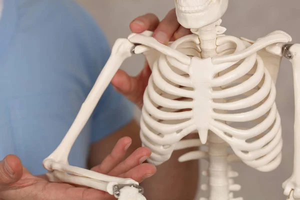 Artrit Ledvärk Läkare Och Skelett Modell Närbild — Stockfoto