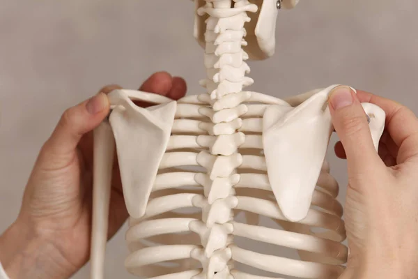 Ren Hållning Korrigering Ojämna Axlar Läkare Och Skelett Modell Närbild — Stockfoto