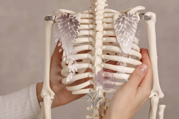 수채화와 날개로 장식된 가슴이 피어나고 인간의 해부학적 의료용 침대보 — 스톡 사진