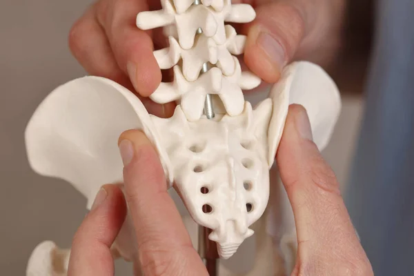 Tailbone Pain Relief Coccydynia Coccyxpijn Tijdens Zwangerschap Stockfoto