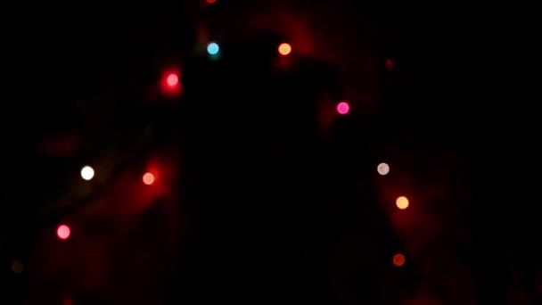 Bulanık Noel ışıkları parlıyor.. — Stok video