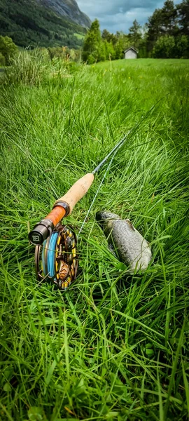 Fly rod and fish