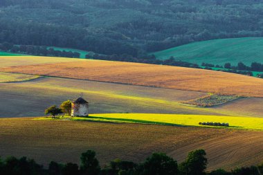 Çek Cumhuriyeti 'nin Kunkovice köyü yakınlarındaki Hollanda yel değirmeni