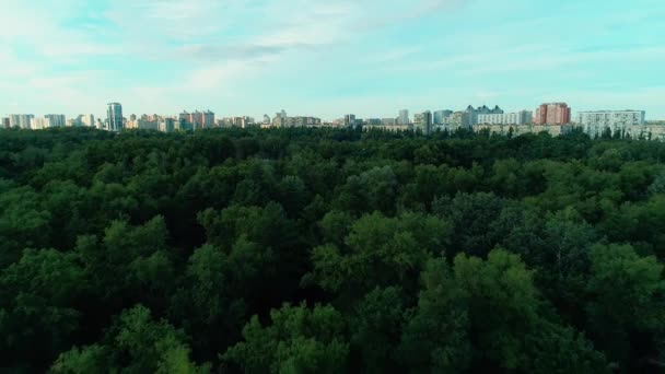 Imágenes aéreas de aviones no tripulados. Volando sobre un parque público con el desarrollo urbano en el fondo — Vídeos de Stock