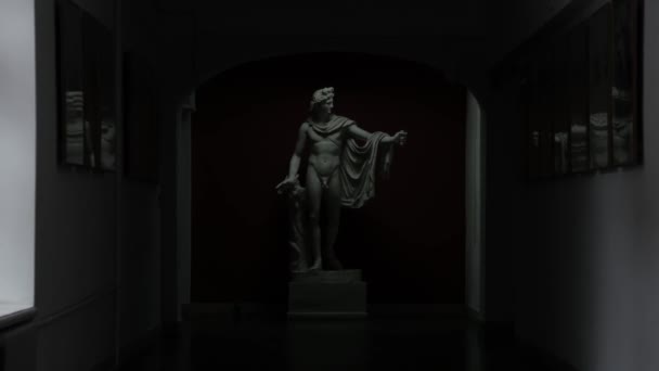 大学の暗い廊下の端に男のアンティーク彫刻 — ストック動画