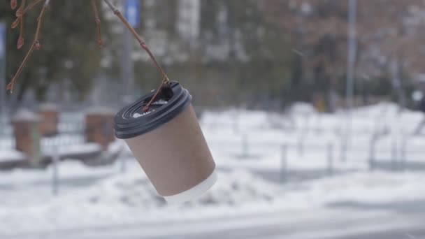 Ein leerer Pappbecher mit Kaffeedeckel hängt im Winter an einem Ast. — Stockvideo