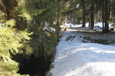 Kışın Kladska Peat Bataklığı, Çek Cumhuriyeti