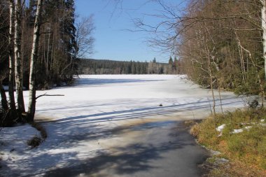 Kışın Kladska Peat Bataklığı, Çek Cumhuriyeti