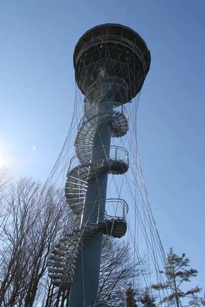 Mirador Torre Vysoka Tachov República Checa Fotos De Stock Sin Royalties Gratis