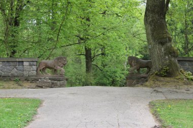Çek Cumhuriyeti Konopiste Şatosu bahçesinde iki aslan heykeli
